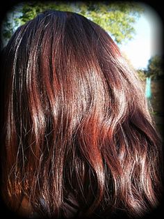 Henna Hair Color-maybe a little more red Beard Dye, Colored Hair Tips, Elsa Pataky, Dyed Natural Hair, Hair Tattoos, Color Your Hair, Hair Skin Nails