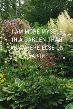 a garden filled with lots of different types of flowers and plants in front of trees