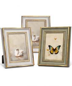 three framed pictures with two white swans and one yellow butterfly