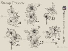 stamps with flowers and numbers on them for stamping, including the number twenty five