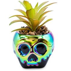 a potted plant with a skull face painted on it's front and side