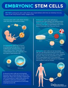 Biology Topics, Wellness Images, What Is Cell, What Is Stem, Cellular Nutrition, Study Biology, Nursing Mnemonics