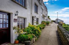 a long narrow street with lots of plants growing on the side of it next to some buildings