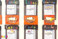 four bulletin boards with different types of birds nests and words written in spanish on them