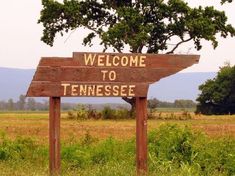 a welcome to tennessee sign in the grass