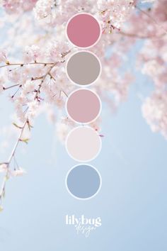 the color palette is shown in shades of pink, blue and grey with cherry blossoms