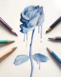 a drawing of a blue rose surrounded by crayon pencils on a white surface