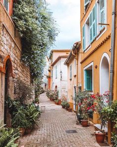 an alley way with potted plants and flowers on either side, surrounded by buildings