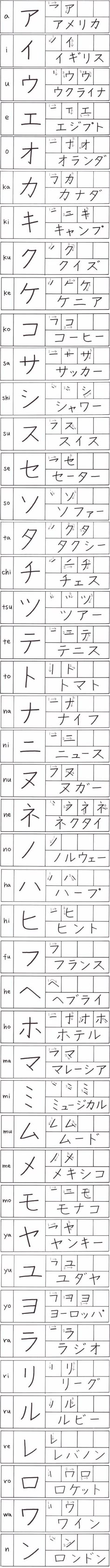 several lines that have been drawn in different directions