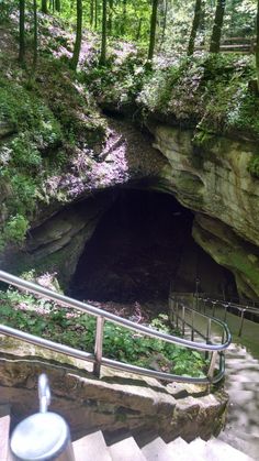 stairs lead up to a cave in the woods