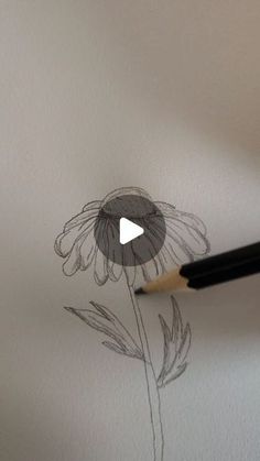 Easy Drawing Realistic, Animated Flowers Drawing, Pencil Drawing Inspiration Creativity, Daisy Drawing Tutorial, Drawing Daisy Flower, Drawing A Flower Easy, How To Draw A Butterfly On A Flower, Tutorial Flower Drawing