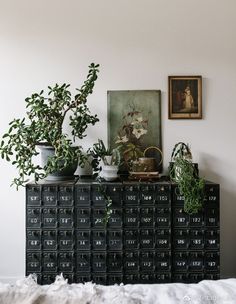 there are many potted plants on top of the dresser