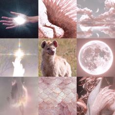 a collage of images with different animals and moon in the sky, including an animal's head