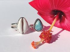 Love this pairing of rings that shipped out together last week.  The cowrie shell ring is available as a made to order item & Ive got more dreamy larimar on the way!  #summerlovepr Seashell Bracelet, Seashell Jewelry, Jewelry Designers