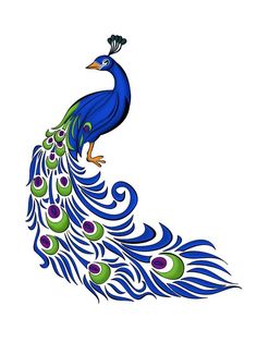 a blue and green peacock sitting on top of a white background