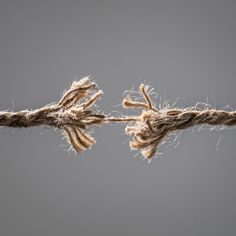 the rope is tied up and ready to be used as an art piece or decoration