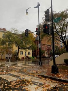 Dc Fall Aesthetic, Downtown Dc Washington Dc, Washington Dc Fall Aesthetic, Washington Dc Downtown, Fall In Dc, Chicago Fall Aesthetic, Dc In The Fall, City In Fall, Washington Dc Aesthetic