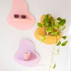 two wall mounted shelves with plants and sunglasses on them next to a plant potted in a vase