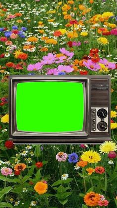 an old tv with a green screen surrounded by wildflowers in a field full of flowers