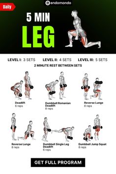 the 5 minute leg workout plan is shown in this graphic style, and includes exercises for each