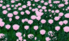 a painting of pink flowers in a green field