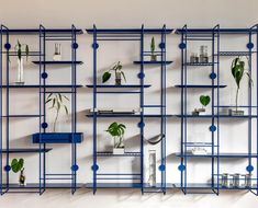 blue shelves with plants and vases on them