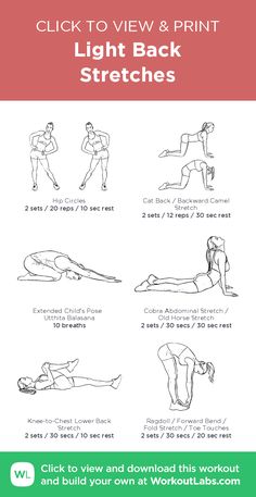 an exercise poster with instructions to use the back and chest exercises for beginner athletes