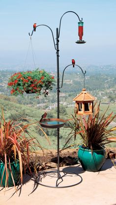 a bird feeder on top of a metal pole next to plants and a potted plant