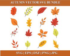 autumn leaves svg clipart bundle