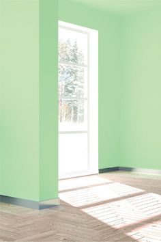 an empty room with green walls and wooden floors