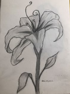 a pencil drawing of a flower on a piece of paper