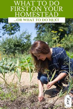 a woman kneeling down in the middle of a field with her hands on some plants