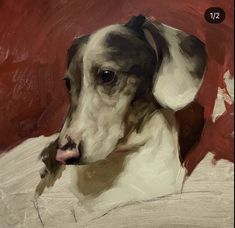 an oil painting of a dog on a red and white background, looking at the camera