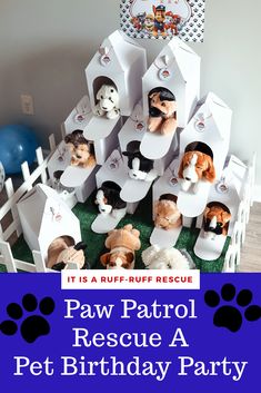 the paw patrol rescue a pet birthday party is full of pups and kittens