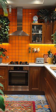 an orange tiled kitchen with wooden cabinets and plants in pots on the counter top, along with a rug