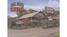 a restaurant called buck finn's catfish on the corner of a street