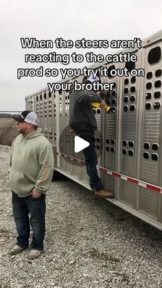 two men standing next to each other in front of a horse trailer with the words when the steers aren't reacting to the cattle