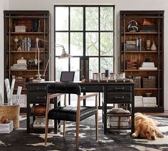 a dog laying on the floor in front of a desk with bookshelves and shelves