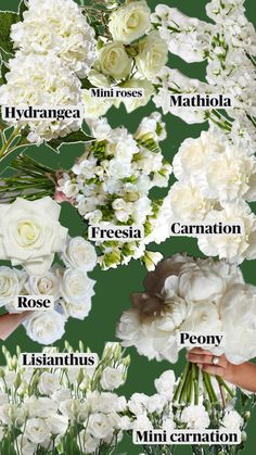 Classic white wedding flower suggestion Iris Wedding, Classic White Wedding, Dream Wedding Decorations, Savannah Wedding, White Wedding Flowers, Wedding Color Palette, Wedding Chicks, Wedding Mood Board, Wedding Mood