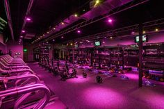 an indoor gym with purple lighting and rows of exercise bikes