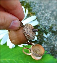 a small snail sitting on top of a leaf next to a person's hand