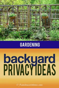 the backyard privacy guide for gardening