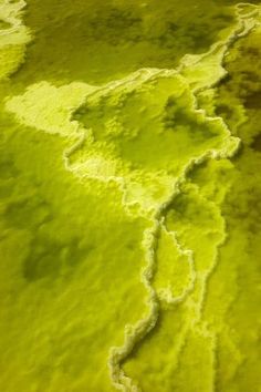 an aerial view of green water with white foam on the bottom and yellow substance in the middle