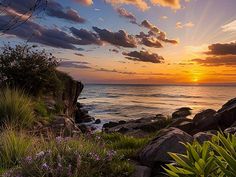 the sun is setting over the ocean with rocks and plants on the shore below it