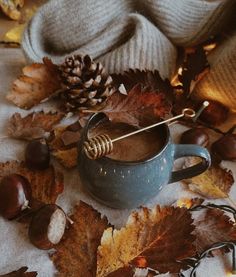 a blue mug filled with coffee surrounded by autumn leaves and acorns