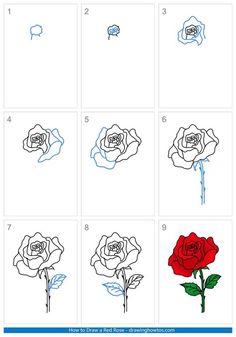 how to draw a rose step by step instructions for kids and beginners with pictures