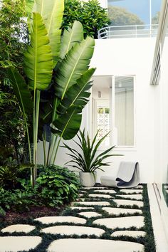 a white house with green plants in the front yard and stone walkway leading up to it