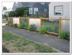 a fenced in yard with plants growing on the side of it and a house behind it