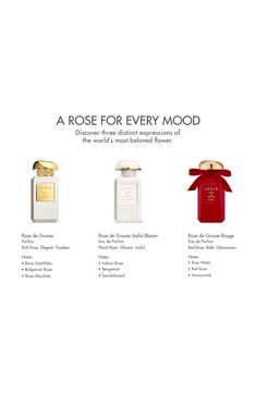 What it is: A Nordstrom-exclusive scent story that captures the voluminous warmth and vitality of a freshly cut rose in full bloom.Fragrance story: The depth and allure of red rose blends with dewy rose water and warm honeycomb for a sensual and bold fragrance. Rouge was inspired by an enduring icon, the perfect red rose, which symbolizes love, friendship and generosity. It is a floral rose fragrance that evokes the singular beauty of a freshly cut red rose in full bloom. Style: Floral.Notes:- T Water Violet, Grasse France, Indian Rose, Rose Absolute, Bulgarian Rose, Rose Fragrance, In Full Bloom, Floral Notes, Perfume Collection