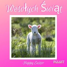 a happy easter card with an image of a lamb in the grass and words, westwytch swat